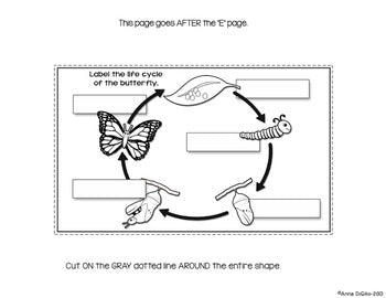 Insects Flip Flap Book® | Distance Learning – Simply Skilled Teaching