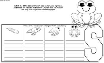 Frogs Flip Flap Book® | Distance Learning – Simply Skilled Teaching