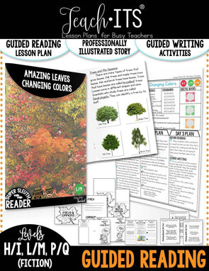 Reading – Tagged "2nd Grade" – Simply Skilled Teaching