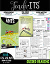 Guided Reading NON-FICTION Vol. 4 "Ants"