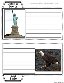 American Symbols Tab-Its® | Distance Learning