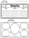 Sharks Tab-Its® | Distance Learning