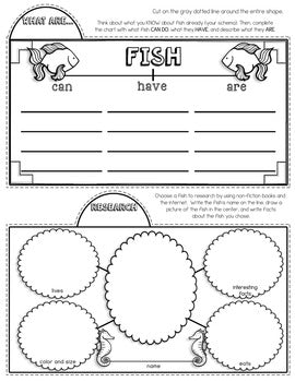 Fish Tab-Its® | Distance Learning