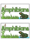 Amphibians Tab-Its® | Distance Learning