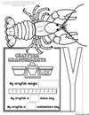 Crayfish Flip Flap Book® | Distance Learning
