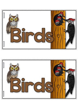 Birds Tab-Its® | Distance Learning