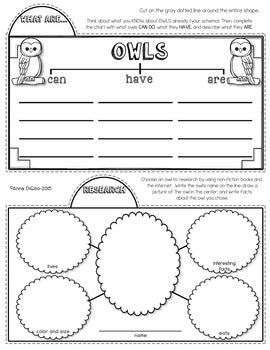 Owls Tab-Its® | Distance Learning