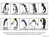 Penguins Tab-Its | Distance Learning