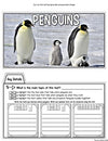 Close Reading - Polar Animals Tab-Its® | Distance Learning