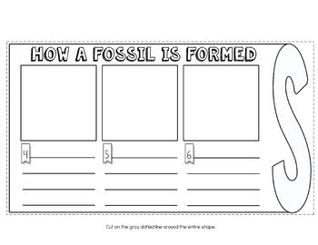 Fossils Flip Flap Book® | Distance Learning