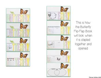 Butterflies Flip Flap Book® | Distance Learning