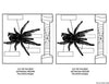 Spiders Flip Flap Book® | Distance Learning