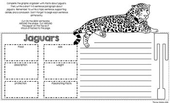 Biomes Flip Flap Book® | Distance Learning – Simply Skilled Teaching